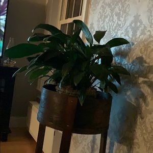 Meet your Posher, Anita